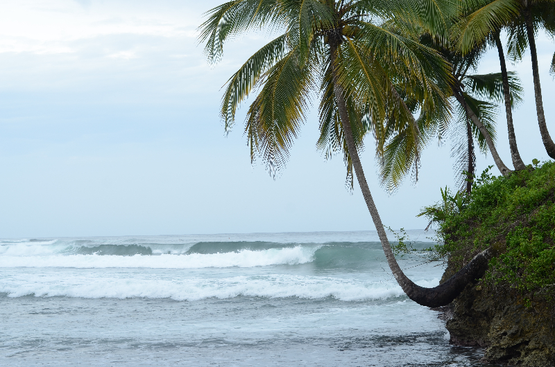 one of the beautiful beaches in Bocas